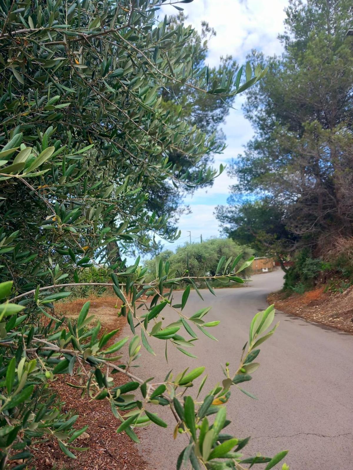 Dolci Risvegli Appartamento Vista Mare Ventimiglia Exteriör bild