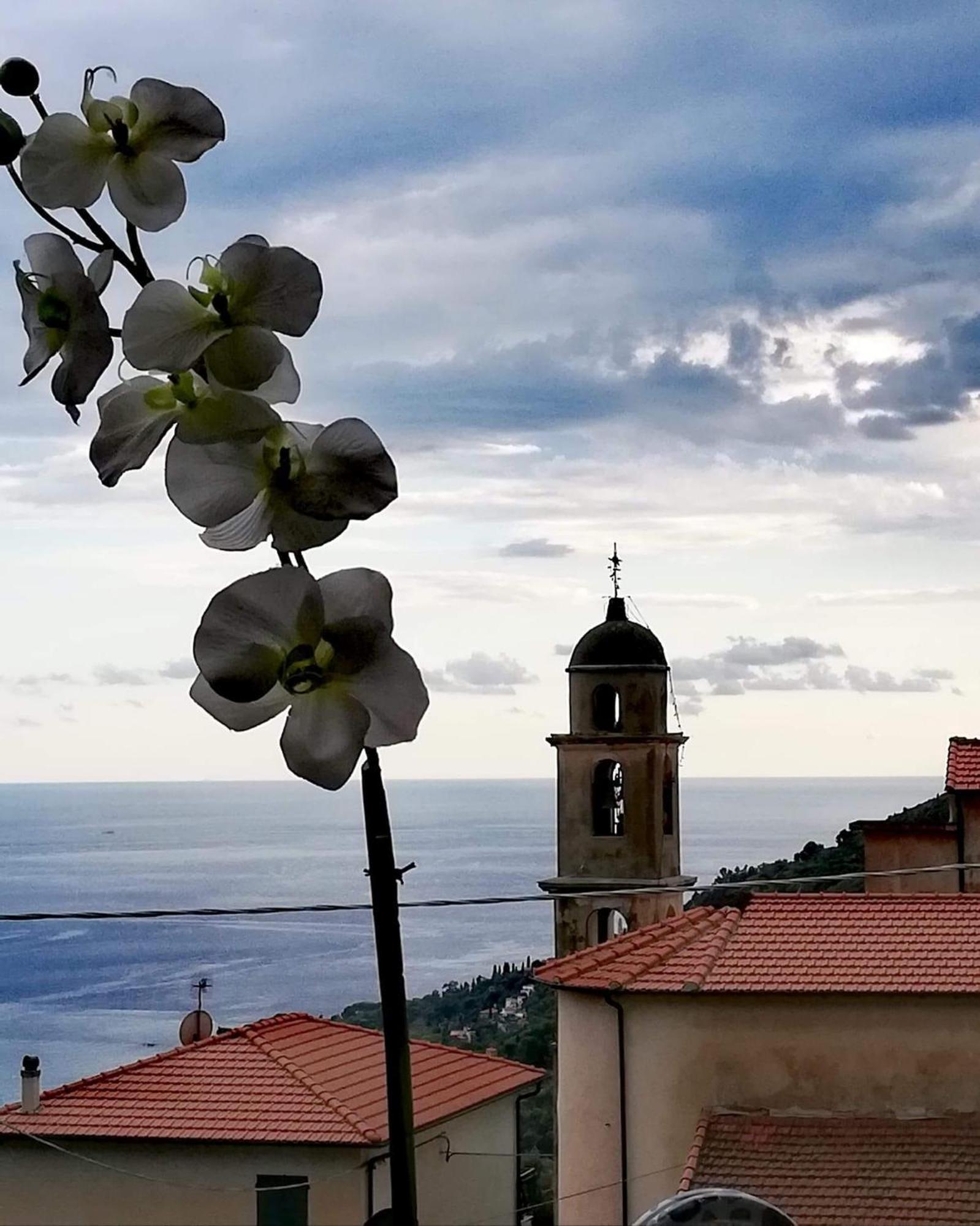 Dolci Risvegli Appartamento Vista Mare Ventimiglia Exteriör bild