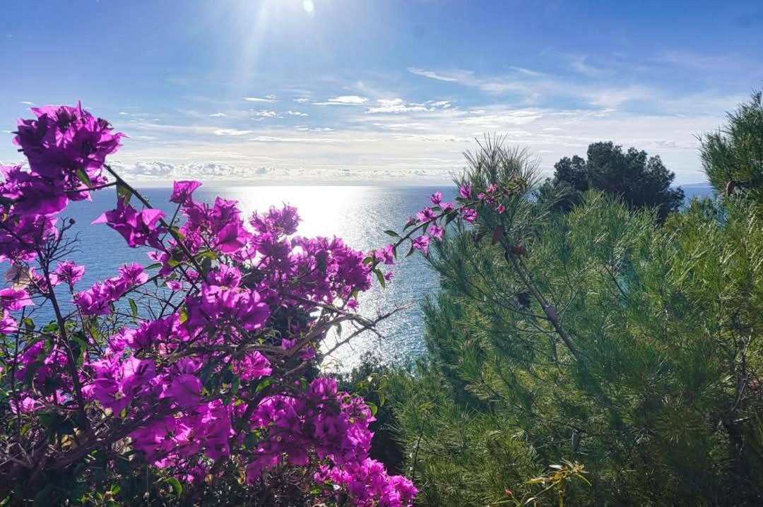 Dolci Risvegli Appartamento Vista Mare Ventimiglia Exteriör bild
