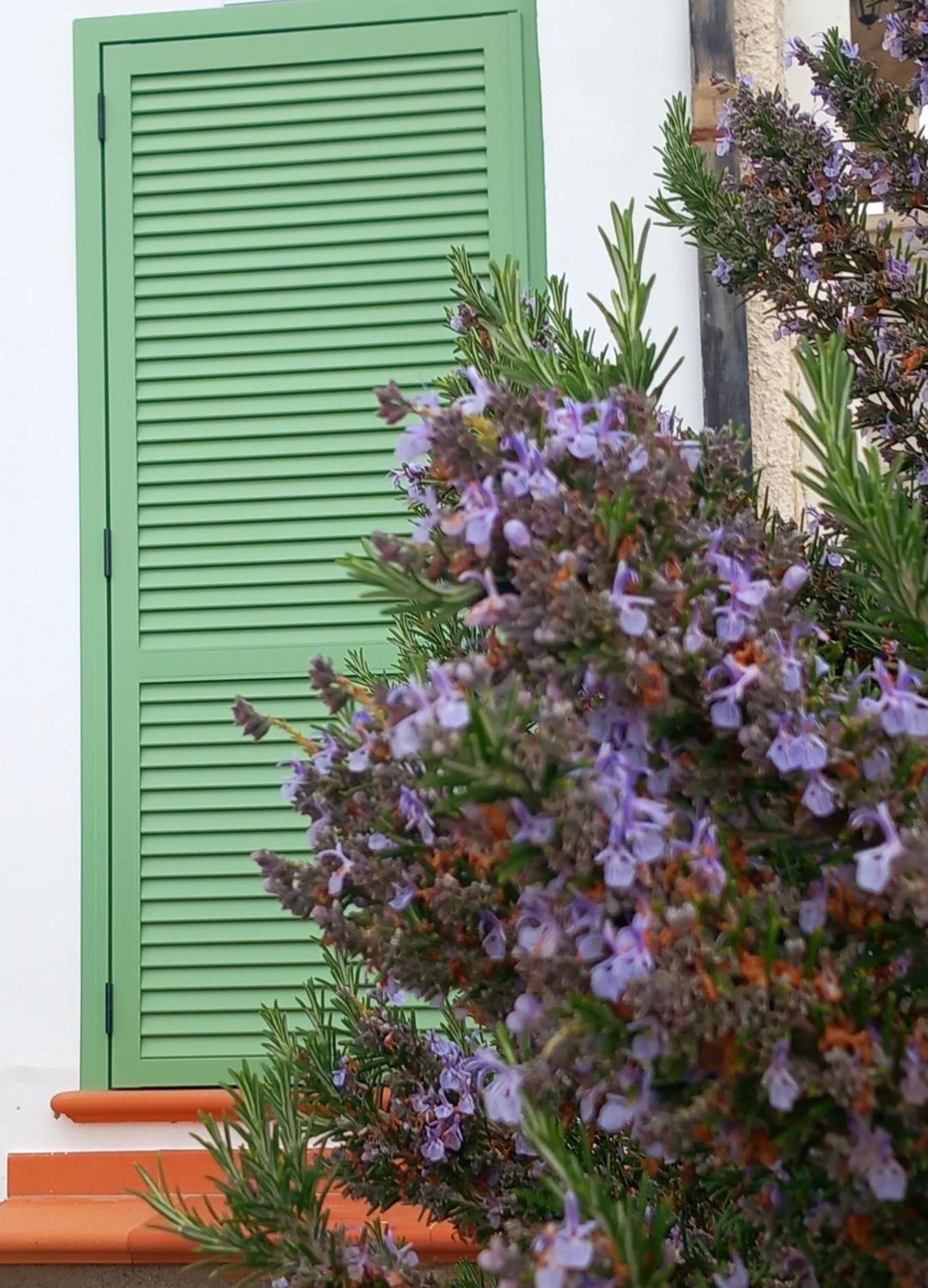 Dolci Risvegli Appartamento Vista Mare Ventimiglia Rum bild