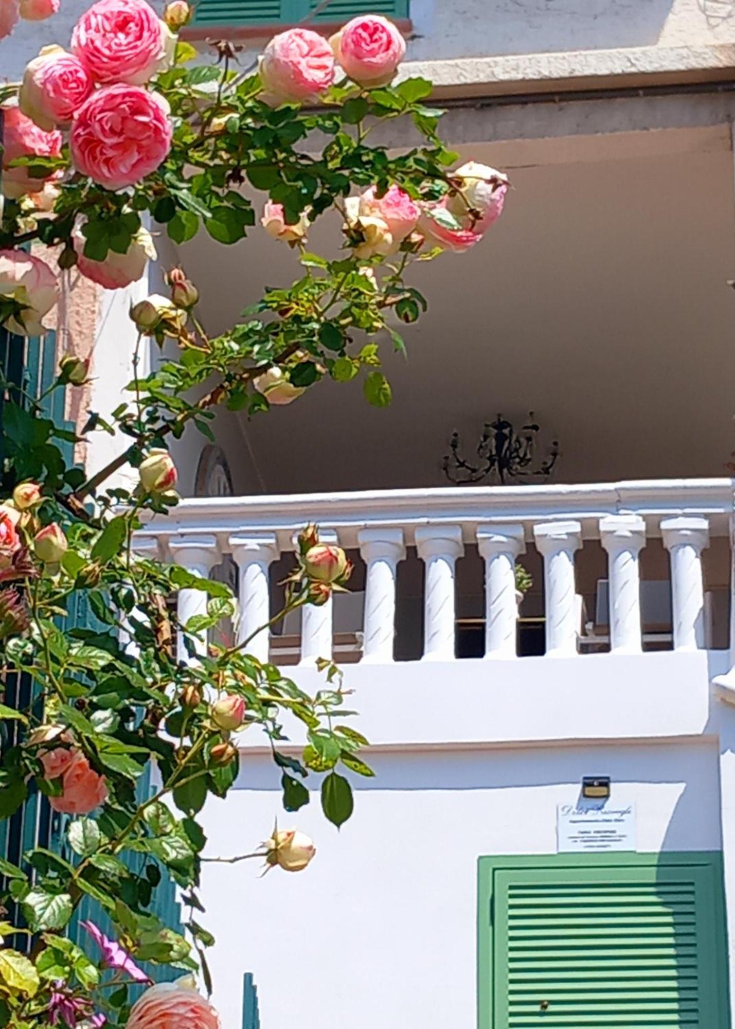 Dolci Risvegli Appartamento Vista Mare Ventimiglia Rum bild